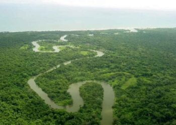 La Moskitia: La selva hondureña atrapada entre narcos, violencia y abandono, según investigación internacional