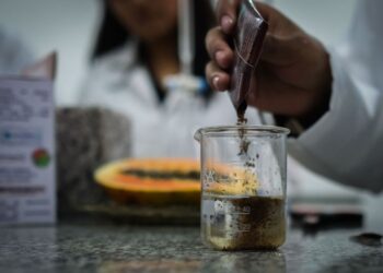 Estudiantes bolivianas avanzan en anticonceptivo masculino reversible a partir de papaya