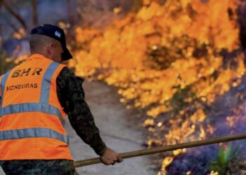 FFAA contabilizan 144 incendios forestales y 1,180 hectáreas afectadas en lo que va del 2026