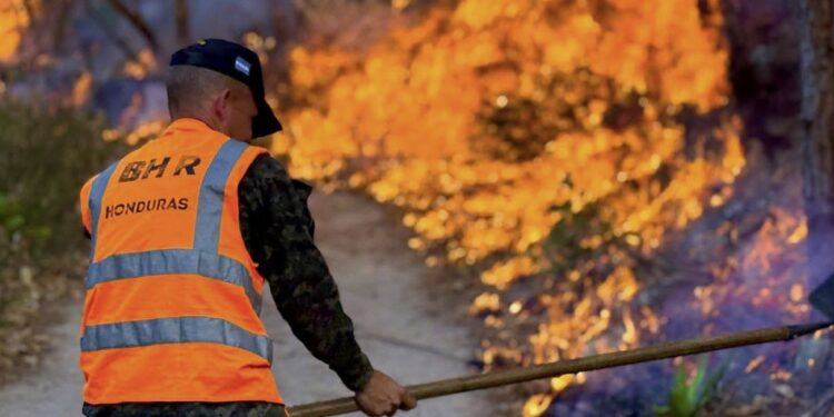 FFAA contabilizan 144 incendios forestales y 1,180 hectáreas afectadas en lo que va del 2026