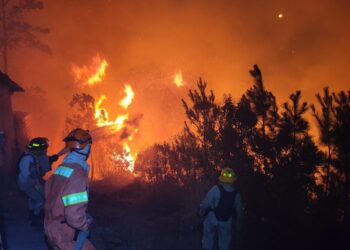 ¡Honduras en llamas! más de 80 incendios afectan el país en los primeros meses de 2026