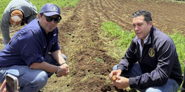 AMDC y FUNDER combinan esfuerzos para apoyar a los productores de la aldea de Azacualpa