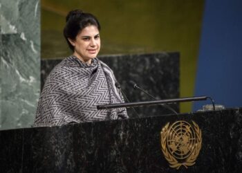 Falso que gobierno de Nasry Asfura haya otorgado aumento de sueldo a representante de Honduras en la ONU