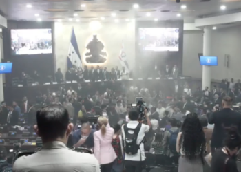 Mientras el pueblo se queja de los combustibles, los “Padres de la patria” convierten en circo y ring de boxeo el Congreso Nacional
