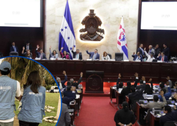 OACNUDH insta a que la elección de los nuevos funcionarios electorales se base en criterios de idoneidad