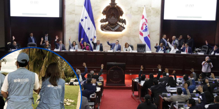 OACNUDH insta a que la elección de los nuevos funcionarios electorales se base en criterios de idoneidad