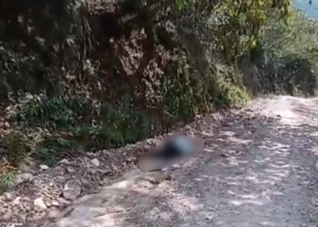 ¡La violencia no para! De varios impactos de bala le quitan la vida a un hombre en El Rosario, Comayagua