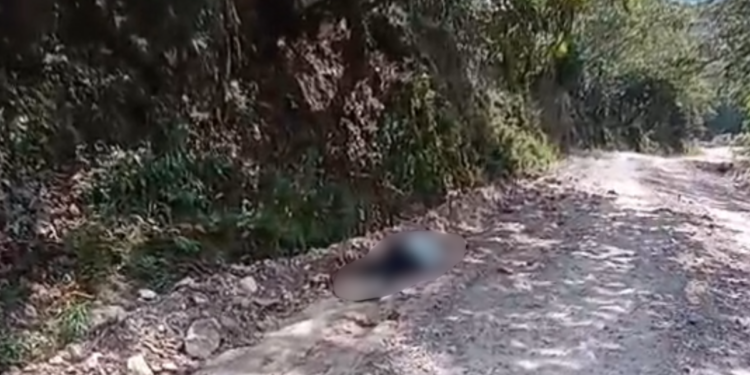 ¡La violencia no para! De varios impactos de bala le quitan la vida a un hombre en El Rosario, Comayagua