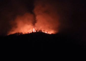 Enorme incendio arrasa bosques en carretera hacia Valle de Ángeles | Móvil Emergencia TGU