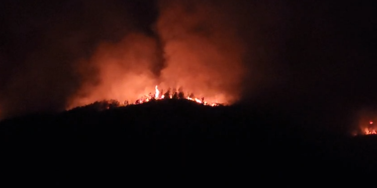 Enorme incendio arrasa bosques en carretera hacia Valle de Ángeles | Móvil Emergencia TGU