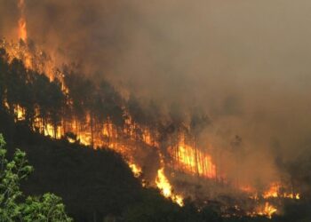 Un total de 398 incendios forestales se registran durante la temporada seca, según el ICF