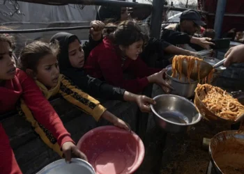 Los asesinatos y la impunidad continuaron en 6 meses de tregua en Gaza, denuncia la ONU
