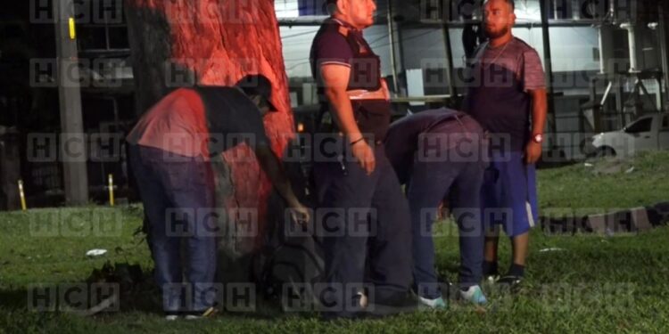 Guardia de seguridad en estado de ebriedad colisiona con un árbol en el bulevar del Norte Móvil de Emergencia SPS