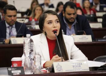 Diputada Iroshka Elvir asegura que se debe respetar la representación del Partido Libre en el CNE y el TJE