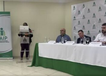 ¡Sistema obsoleto! Instituto de Acceso a la Información Pública denuncia fallas en el portal de transparencia
