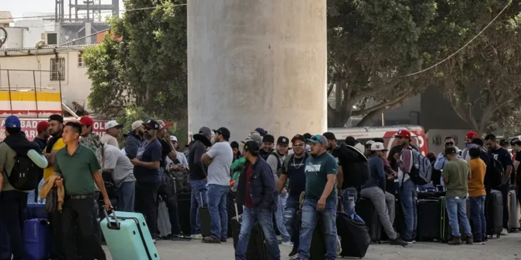 Los jornaleros mexicanos cruzan a EE.UU. para la cosecha agrícola entre el temor y la necesidad