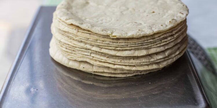 Harina de maíz mantiene su precio pese a presión de costos y se descarta alza en la tortilla, según sector agroindustrial