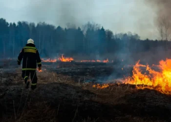¡ALERTA EN LA CAPITAL! Al menos 122 incendios forestales se registran en Tegucigalpa en lo que va 2026, según ICF