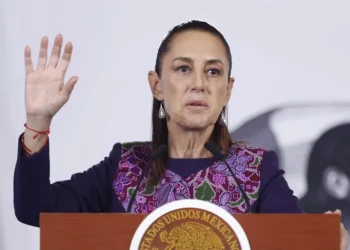 Sheinbaum pide revisar la norma tras el sacrificio de 10.000 perros callejeros en México