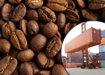 Pese a la caída de precios, las exportaciones de café incrementaron en un 41%