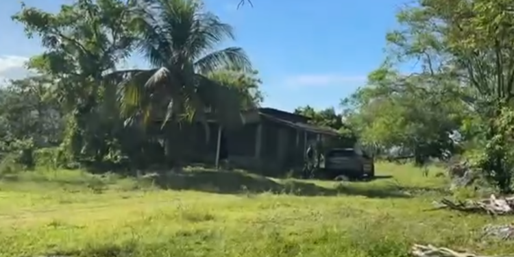 ¡Imparable violencia! Asesinan a dos personas dentro de una propiedad privada en Potrerillos, Cortés