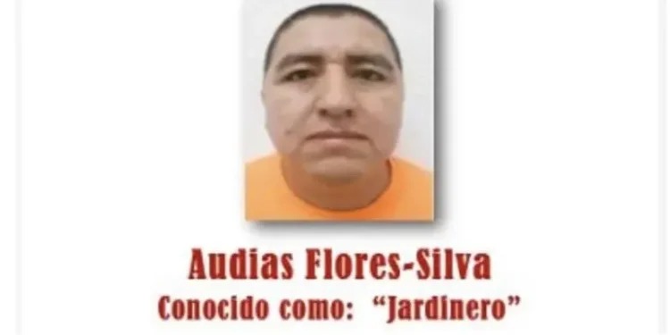 Detenido en México alias El Jardinero, un presunto nuevo líder del Cartel Jalisco Nueva Generación