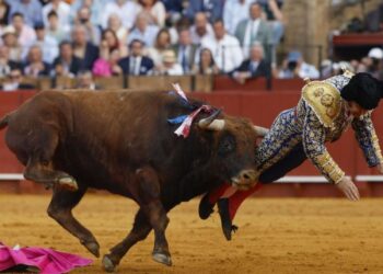 Morante de la Puebla, herido “muy grave” en Sevilla: sufre una cornada de 10 centímetros que le perfora el recto