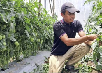 Gobierno de Honduras apuesta por mayor inversión y fortalecer la producción rural en el occidente del país