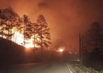 Infierno en la carretera a oriente… Incendio forestal consume varias hectáreas de bosque en La Montañita