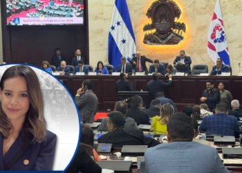 Congreso Nacional oficializa a Analina Montes Hawitt como nueva presidenta de la Comisión para la Defensa y Promoción de la Competencia