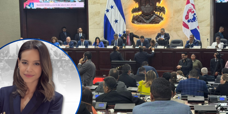 Congreso Nacional oficializa a Analina Montes Hawitt como nueva presidenta de la Comisión para la Defensa y Promoción de la Competencia