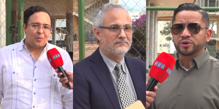 Eduardo Fuentes, Germán Leitzelar y Mario Portillo, entre los autopostulantes para optar a cargos en el Consejo Nacional Electoral y Tribunal de Justicia Electoral