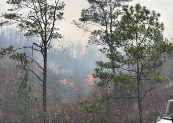 ¡Masacre ambiental! Voraz incendio sigue extendiéndose rápidamente a inmediaciones de Tatumbla, F.M