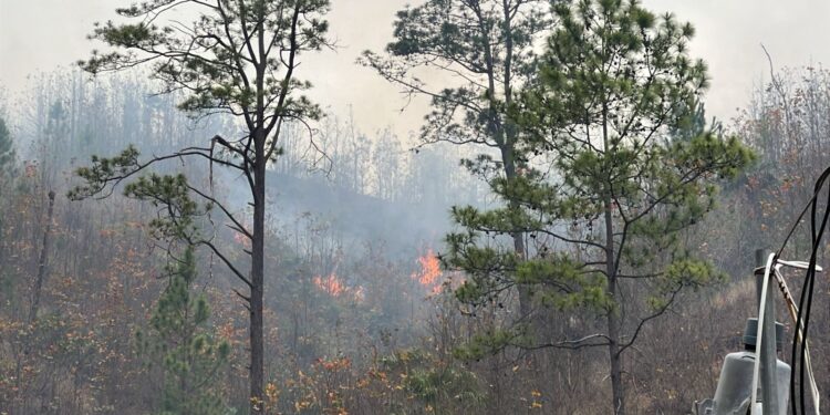 ¡Masacre ambiental! Voraz incendio sigue extendiéndose rápidamente a inmediaciones de Tatumbla, F.M