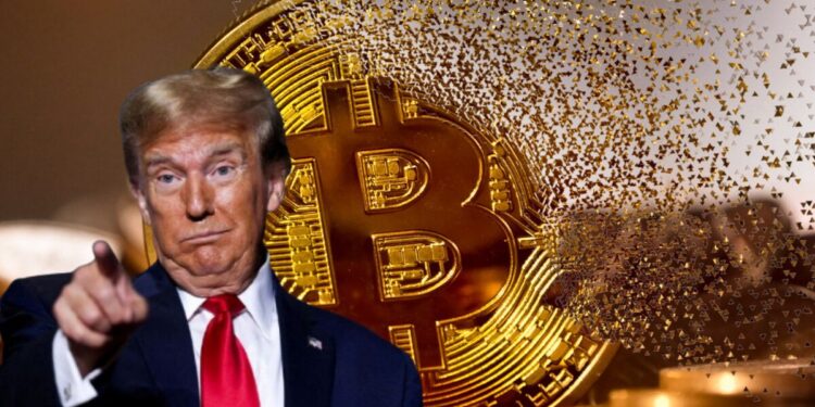 La minera vinculada a Trump reporta pérdidas de 81 millones de dólares: ¿cuántos bitcoines extrajo?