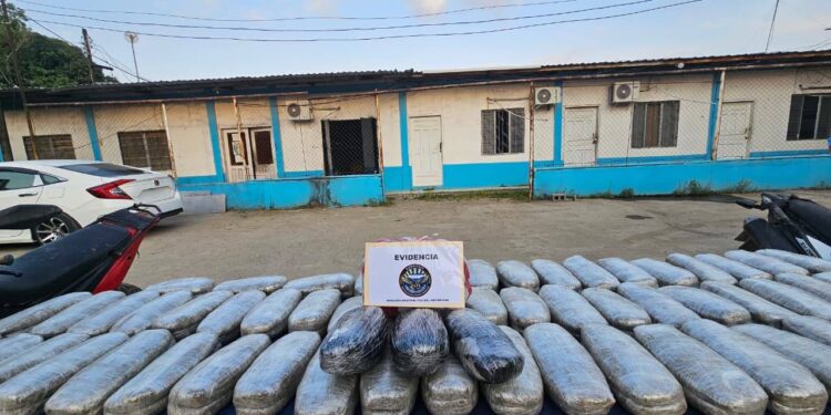 Decomisan 126 paquetes de “moña” en Colón