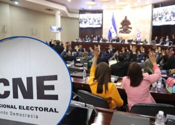 Aprueban artículo transitorio para que el Pleno del CNE se integre con dos propietarios y un suplente