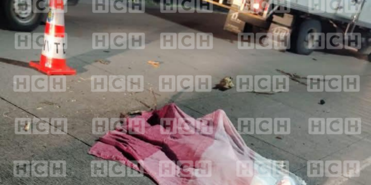 ¡Destino fatal! Fallece atropellado una persona en la carretera al sur de la capital