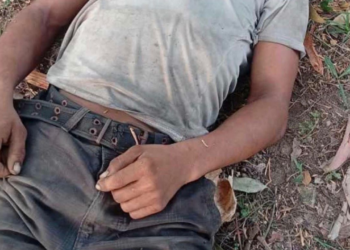 ¡Lamentable! Hombre fallece tras caer de un árbol de mango en el sector de Las Minas, El Progreso