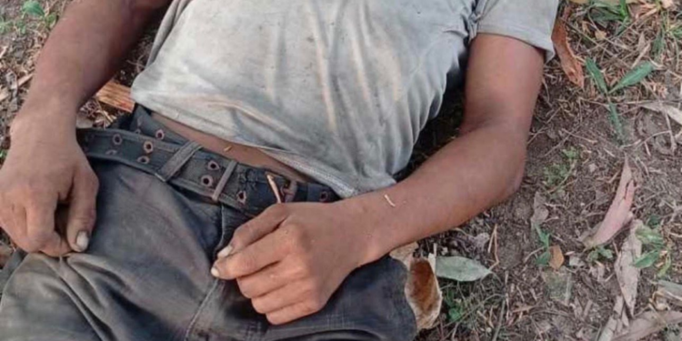 ¡Lamentable! Hombre fallece tras caer de un árbol de mango en el sector de Las Minas, El Progreso