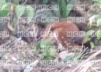 En avanzado estado de descomposición encuentran el cuerpo de una persona en los pozos de agua en Monte Placentero, Roatán