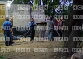 ¡Lamentable! Hombre fallece tras caer de un árbol de tamarindo en Choloma, Cortés