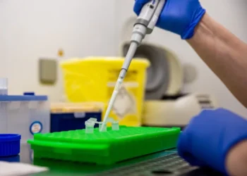 Hantavirus: la OMS eleva a 6 los casos confirmados tras el positivo de un contagio sospechoso