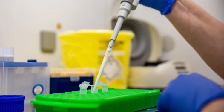 Hantavirus: la OMS eleva a 6 los casos confirmados tras el positivo de un contagio sospechoso