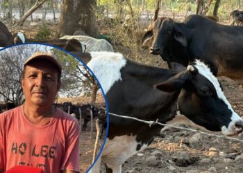 HCH continúa en el sur documentando la crisis por sequía que ya deja pérdidas agropecuarias y falta de empleo