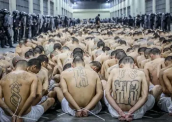 Fiscal Muñoz califica a la MS-13 como una organización criminal dedicada al homicidio y tráfico ilícito en El Salvador