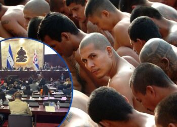 “Más hojas que tamal” las anunciadas reformas penales | Resumen Legislativo