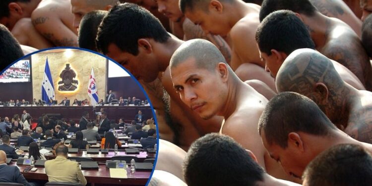 “Más hojas que tamal” las anunciadas reformas penales | Resumen Legislativo