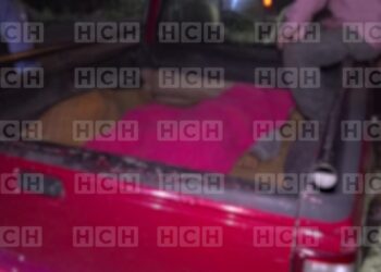 Mil maneras de morir... Hombre muere aplastado por un árbol en Lepaterique, Francisco Morazán Móvil Emergencia TGU