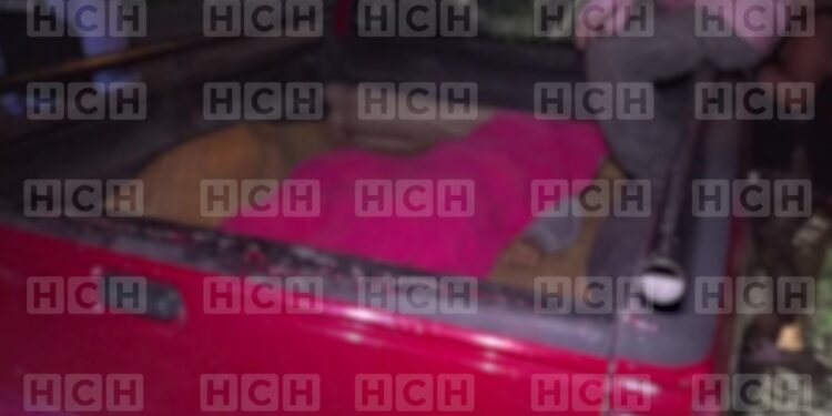 Mil maneras de morir... Hombre muere aplastado por un árbol en Lepaterique, Francisco Morazán Móvil Emergencia TGU